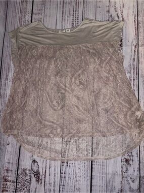 Cato Size 18/20W Lace Overlay Short Sleeve Top - Taupe/dark Cream